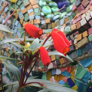 flower.jpg
