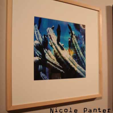 Nicole Panter