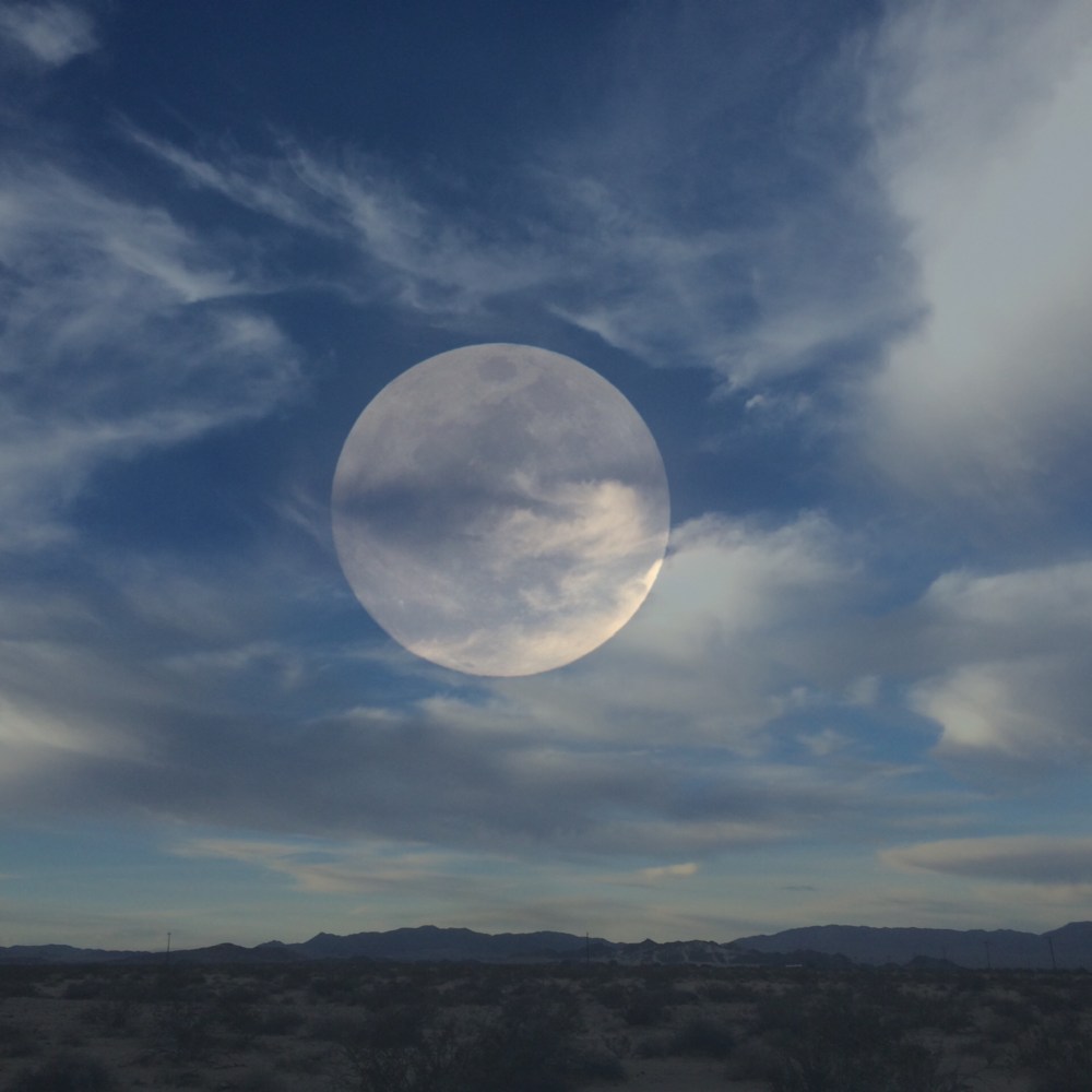 037DB369-E156-4142-B445-F04901400BB1